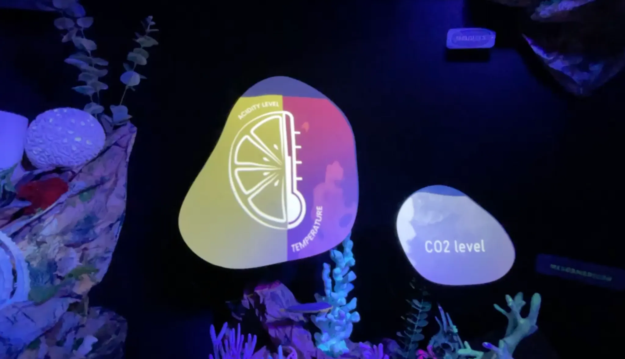 Interactive projections in the 'Diving Through Corals' installation, illustrating the relationship between CO₂ levels, temperature, and ocean acidity on coral ecosystems.